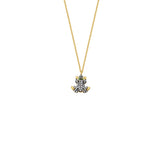 NANO FROG NECKLACE