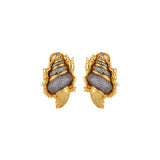 SHELL EARRINGS